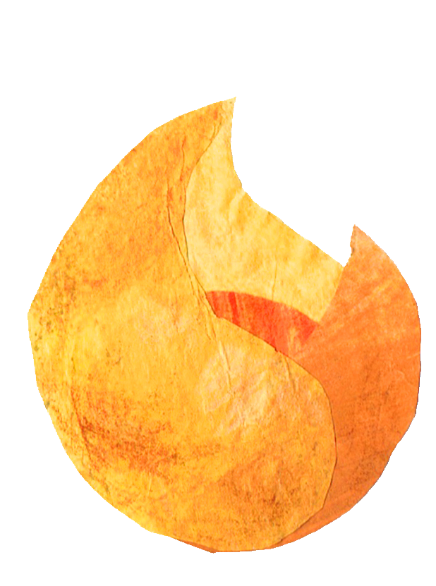 2023_cocoon_graphisme_cocon_web